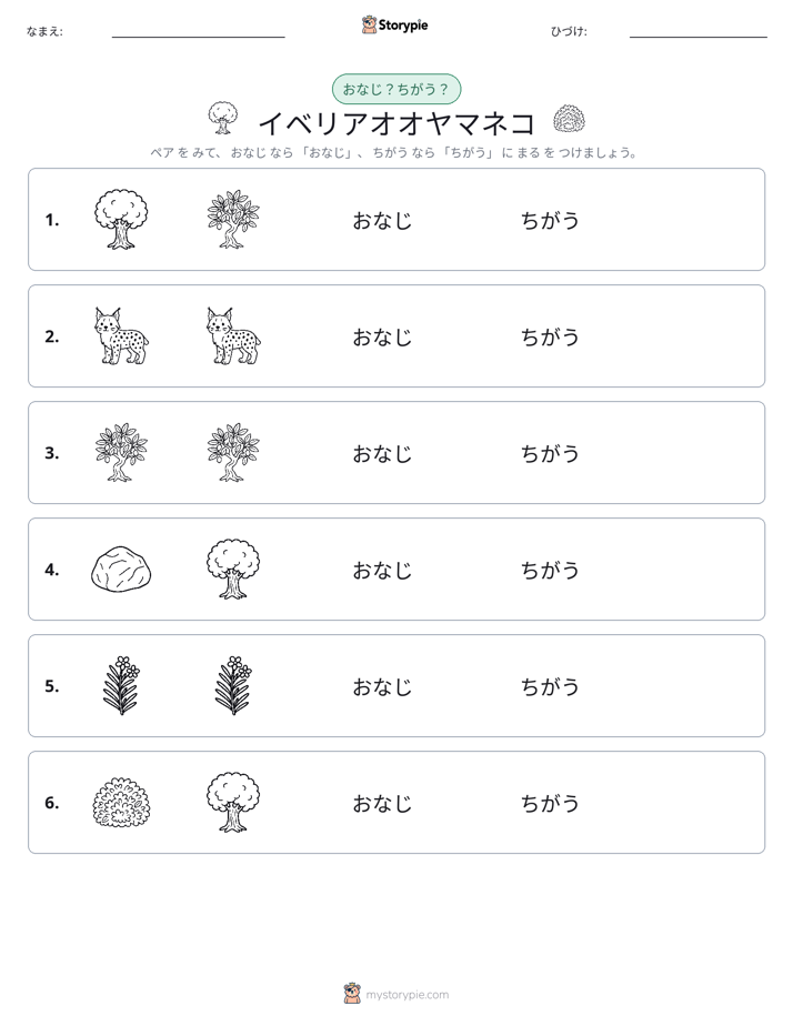 同じか違うか