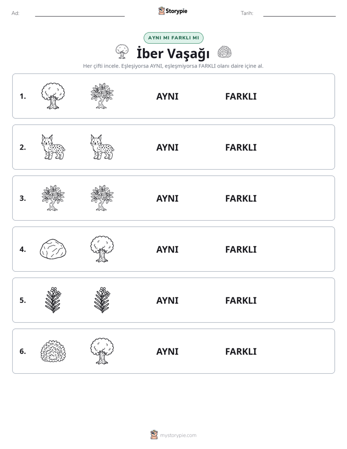Aynı mı Farklı mı