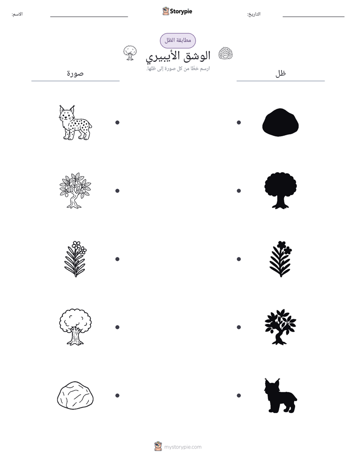 مطابقة الظل