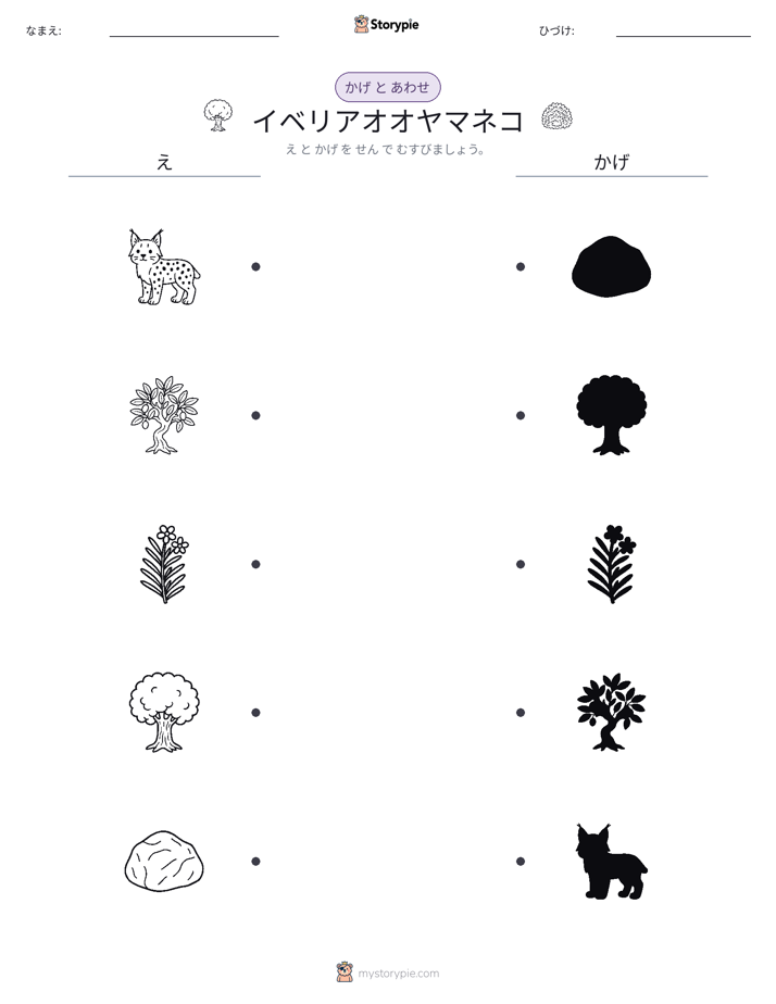 シャドウマッチ
