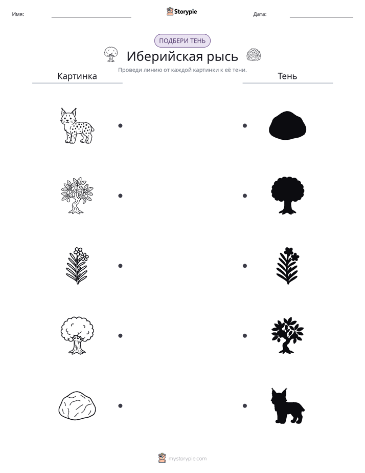 Сопоставление теней