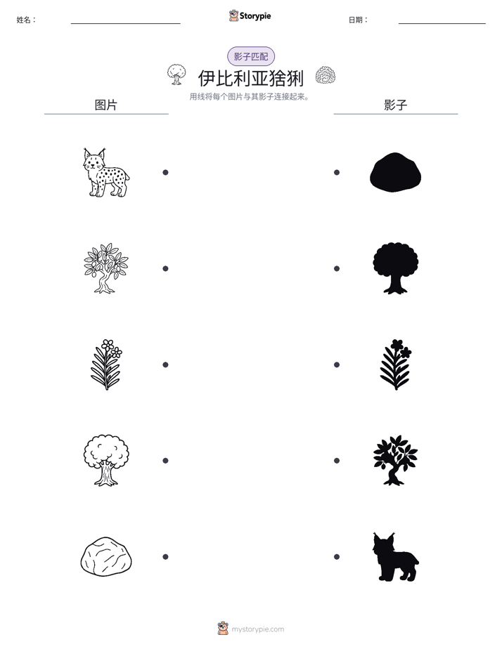 影子匹配
