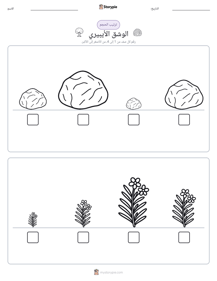 ترتيب الحجم