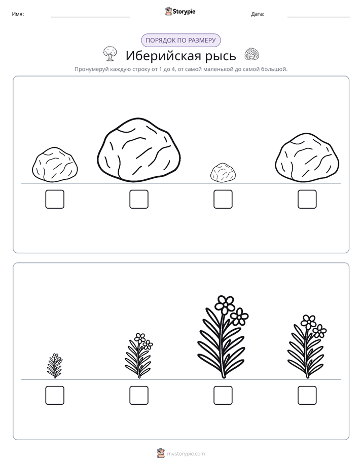 Размеры в порядке