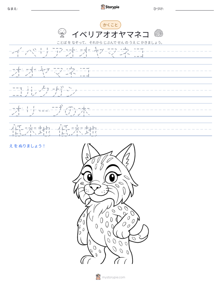 書き取り練習