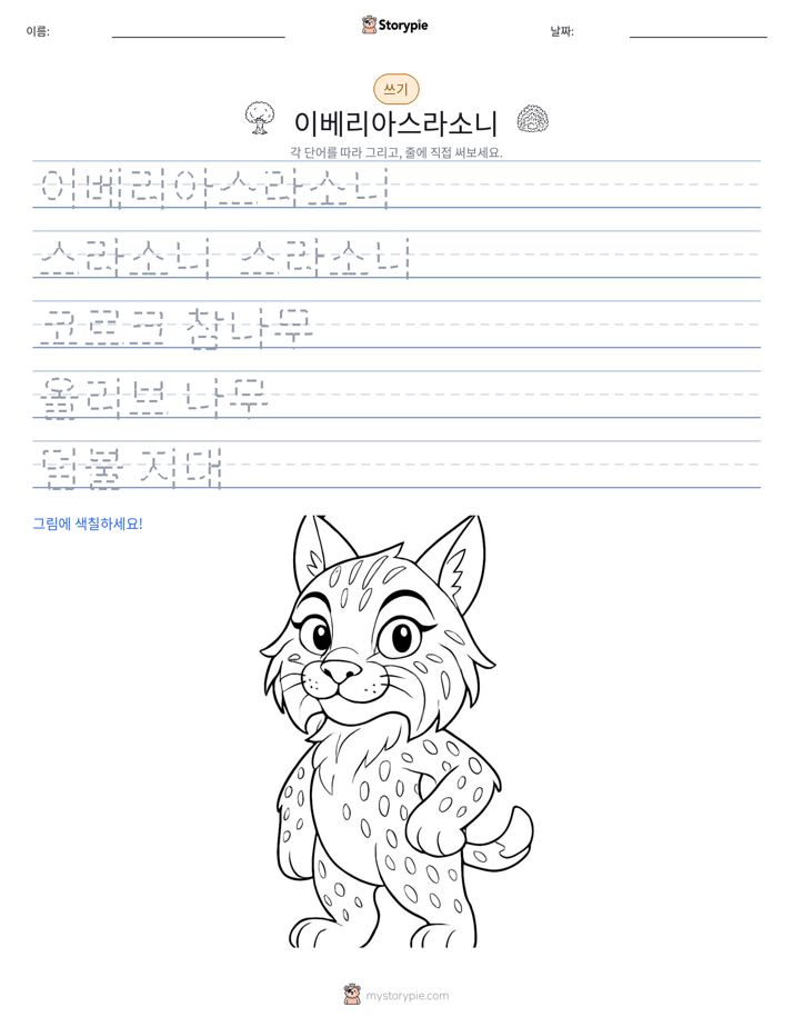 쓰기 연습