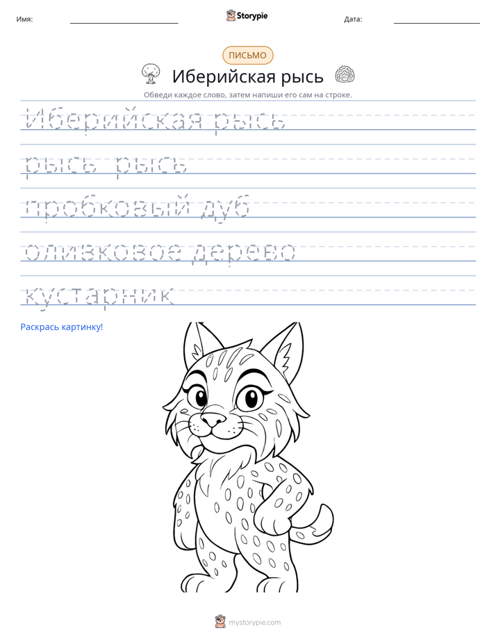 Практика письма