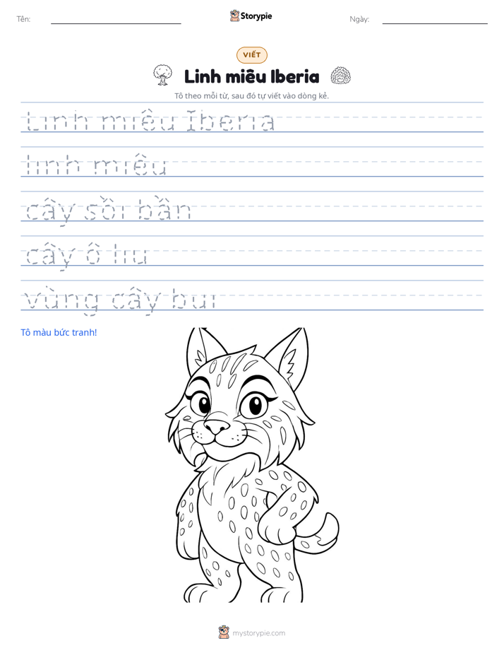 Luyện Viết