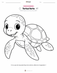 Page de coloriage Tortue verte pour les enfants