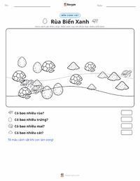 Xem trước tài liệu in sẵn Rùa biển xanh