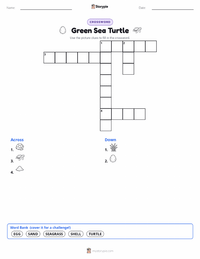 Green Sea Turtle printable worksheet preview