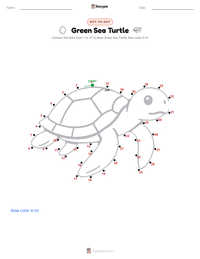 Green Sea Turtle printable worksheet preview