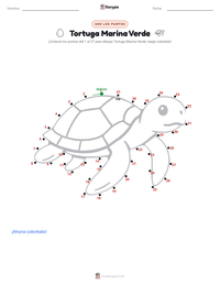 Vista previa de la hoja de trabajo imprimible de Tortuga Verde Marina