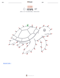 绿海龟 可打印工作表预览