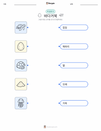 푸른바다거북 어린이용 인쇄 가능한 워크시트
