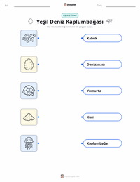 Yeşil Deniz Kaplumbağası çocuklar için yazdırılabilir çalışma sayfası