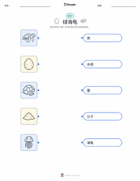 绿海龟 可打印工作表，适合儿童