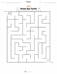 Green Sea Turtle printable worksheet preview