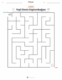 Yeşil Deniz Kaplumbağası yazdırılabilir çalışma sayfası önizlemesi