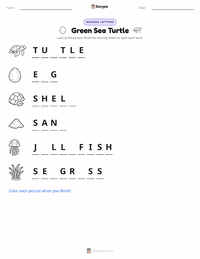 Green Sea Turtle printable worksheet preview