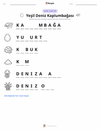 Yeşil Deniz Kaplumbağası yazdırılabilir çalışma sayfası önizlemesi