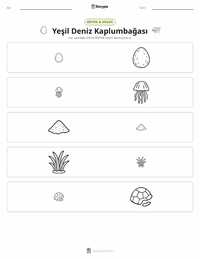 Yeşil Deniz Kaplumbağası yazdırılabilir çalışma sayfası önizlemesi