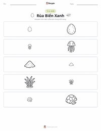 Xem trước tài liệu in sẵn Rùa biển xanh