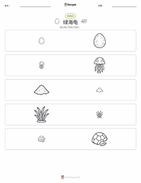 绿海龟 可打印工作表预览