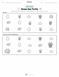 Green Sea Turtle printable worksheet preview