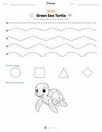 Green Sea Turtle printable worksheet preview