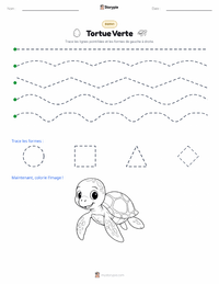 Aperçu de la feuille de travail imprimable Tortue verte