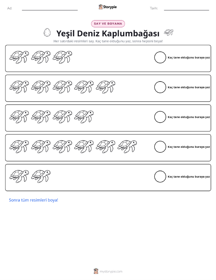 Say & Renklendir