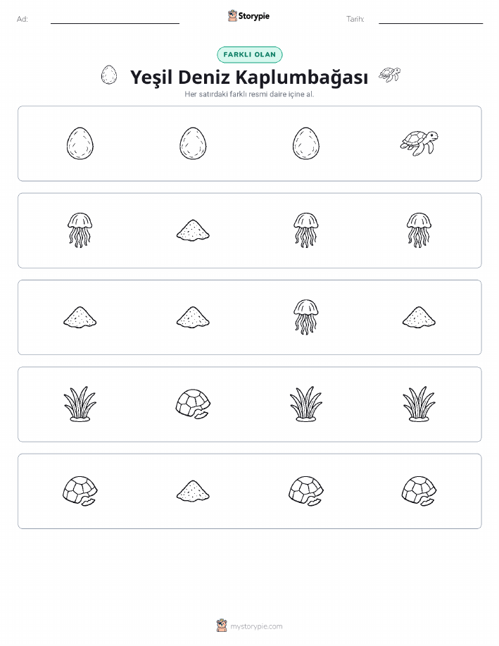 Farklı Olanı Bul