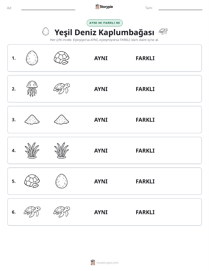 Aynı mı Farklı mı