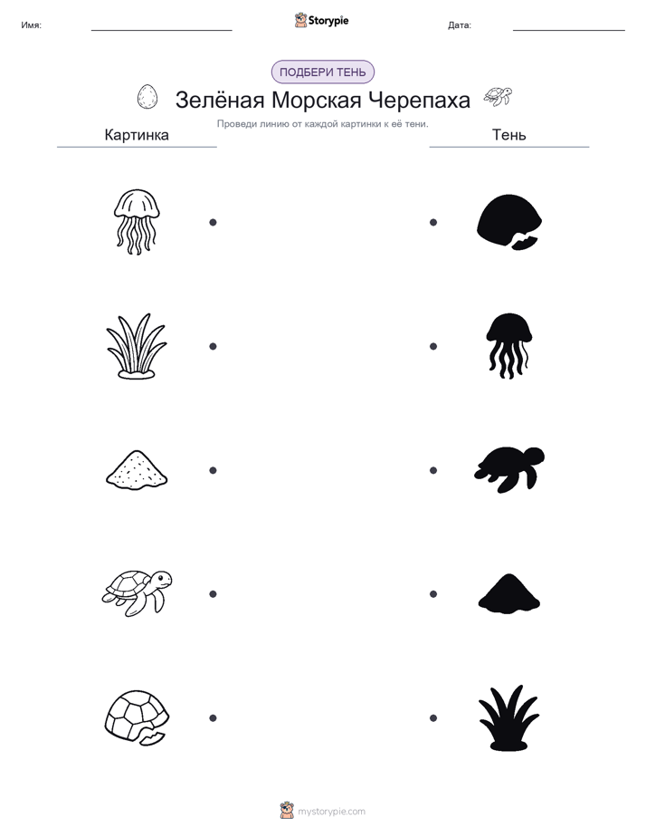 Сопоставление теней