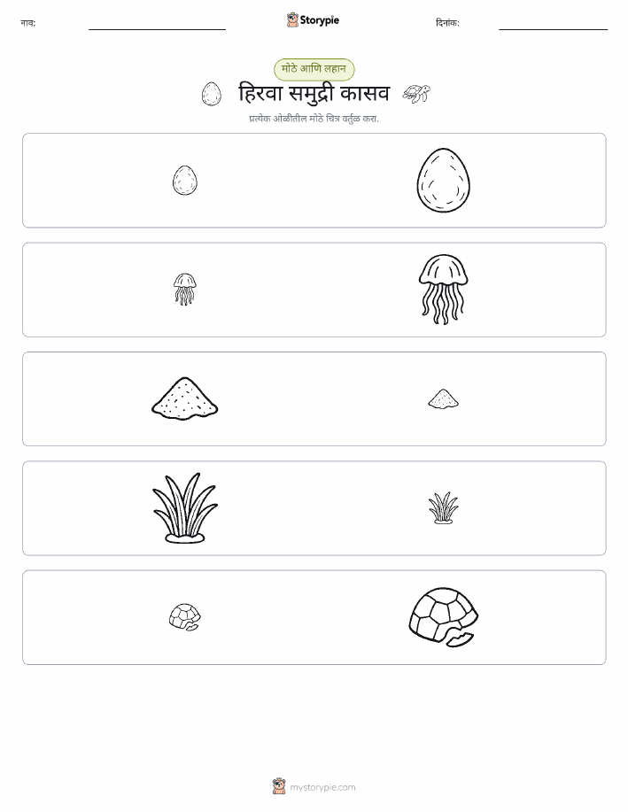 वर्गीकरण