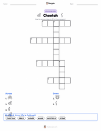 Cheetah printable worksheet preview