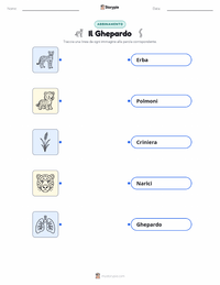 Scheda stampabile di Ghepardo per bambini
