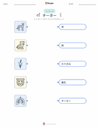 チーター の印刷可能ワークシートプレビュー