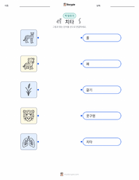 치타 어린이용 인쇄 가능한 워크시트