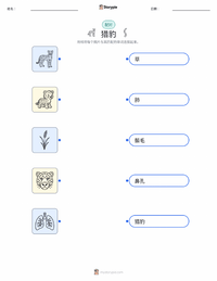 猎豹 可打印工作表，适合儿童