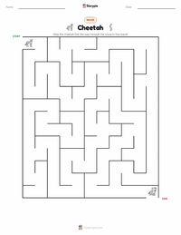 Cheetah printable worksheet preview