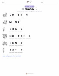 Cheetah printable worksheet preview