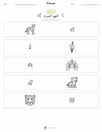 معاينة ورقة العمل القابلة للطباعة الفهد الصياد