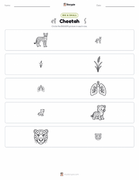 Cheetah printable worksheet preview