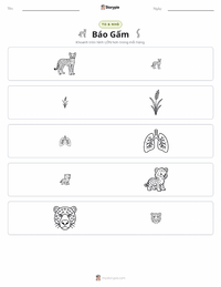 Xem trước tài liệu in sẵn Báo Gêpa