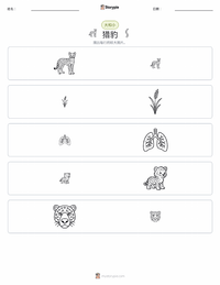 猎豹 可打印工作表预览