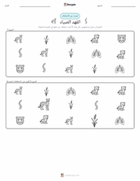 معاينة ورقة العمل القابلة للطباعة الفهد الصياد