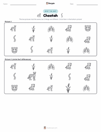 Cheetah printable worksheet preview
