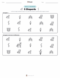 Anteprima della scheda stampabile di Ghepardo